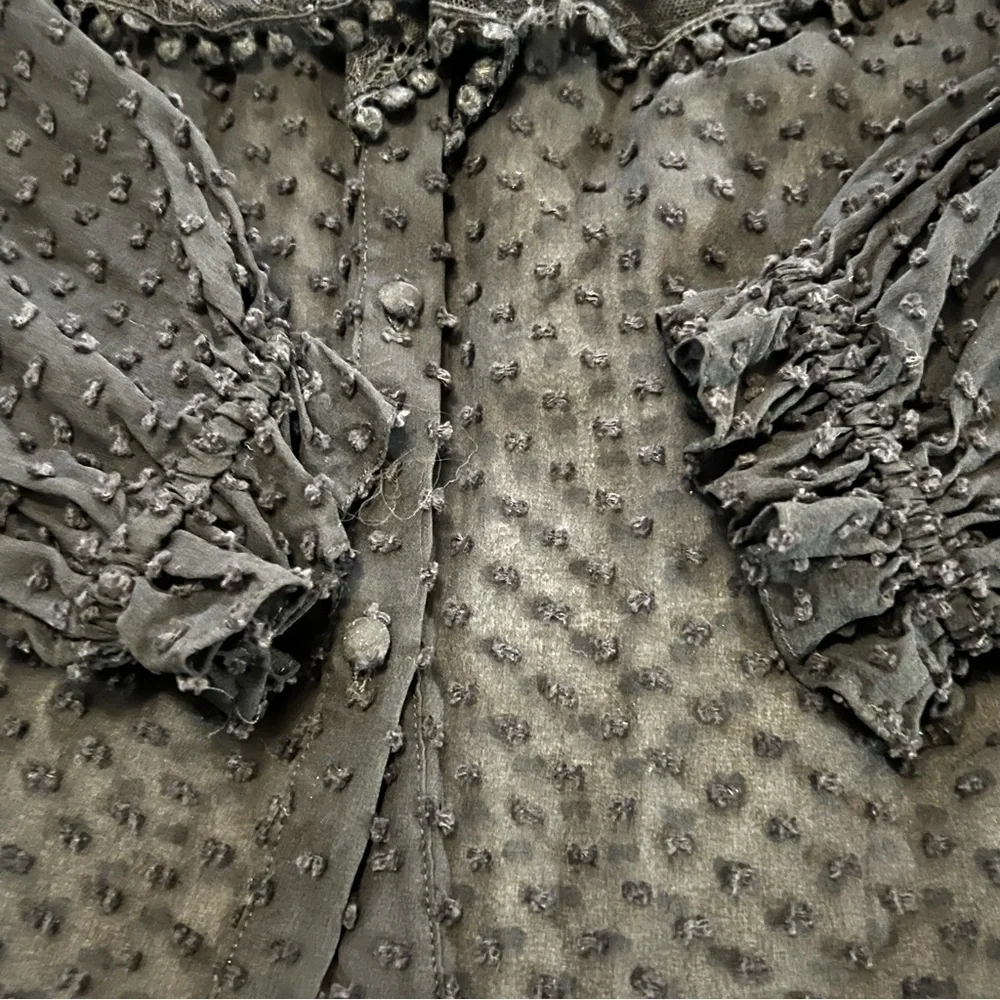 LoveShackFancy Erica SWISS DOT HIGH NECK LACE BLOUSE Ruffled Button Front Sheer - Picture 15 of 16